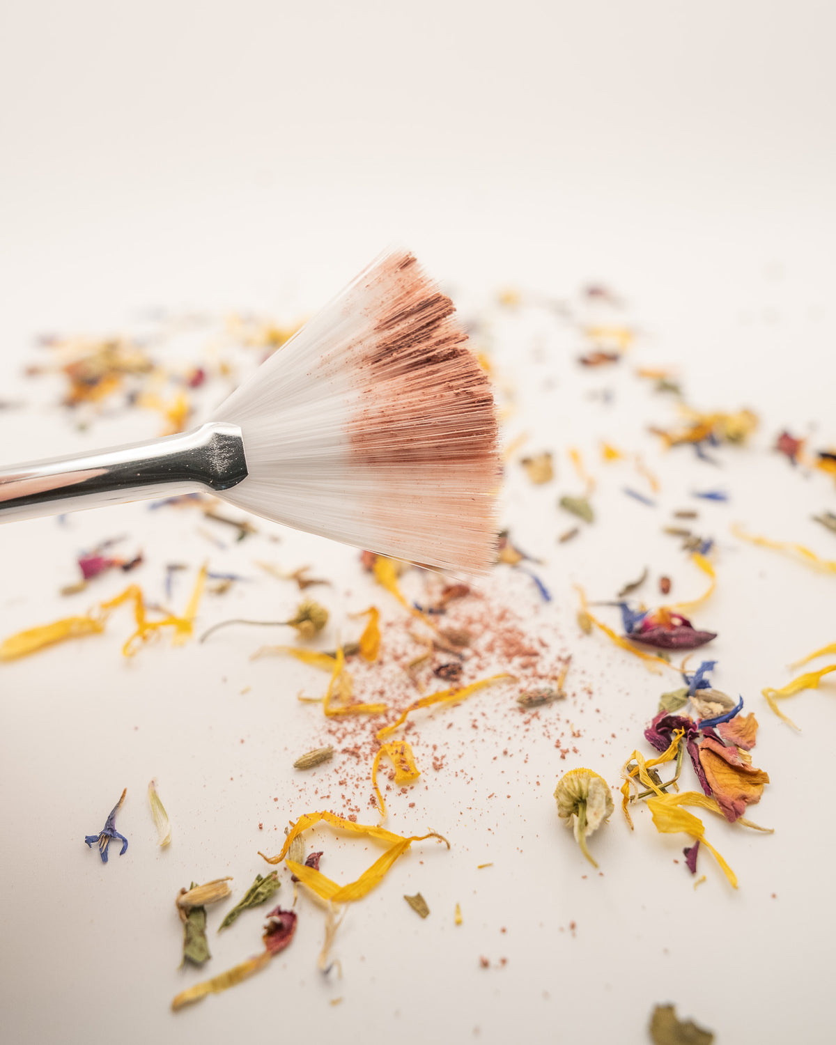 Feather Brush